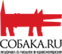 Sobaka.ru
